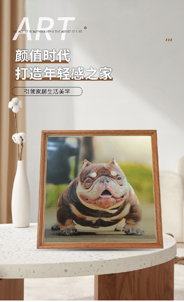 宠物狗